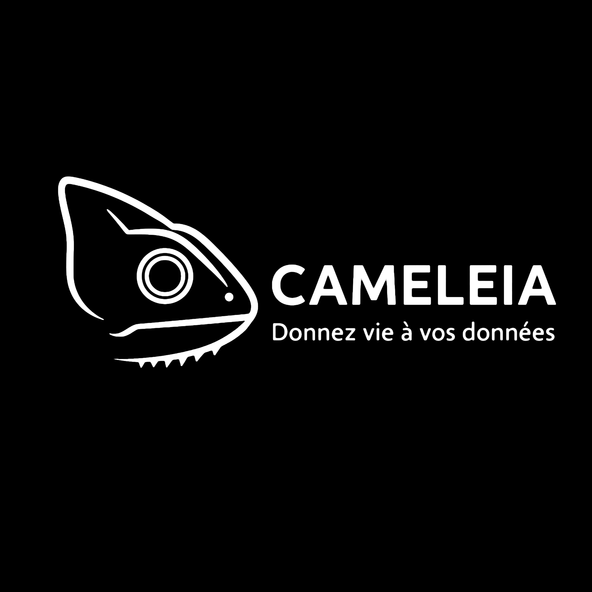 Logo CAMELEIA