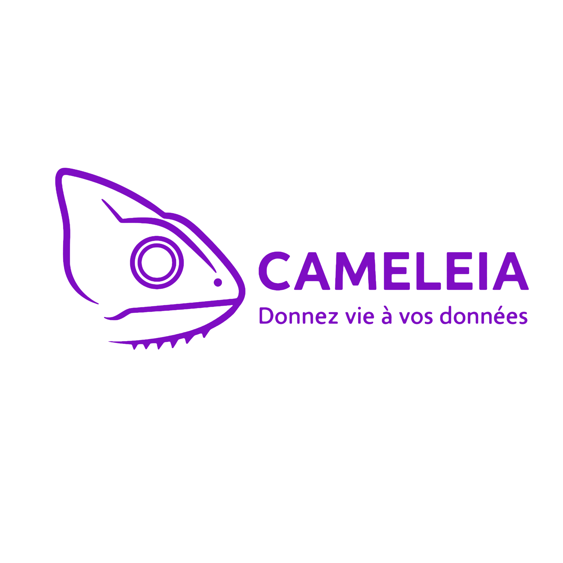 Logo CAMELEIA